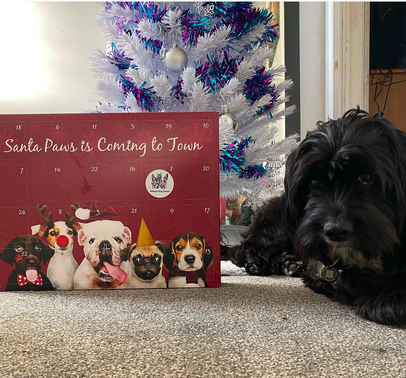 Santa Paws Advent Calendar