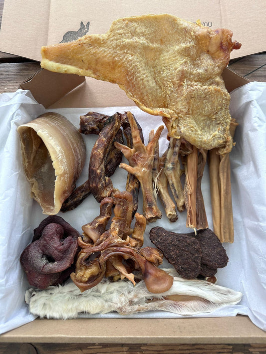 Special Selection Box from Mikey's Dog Treats