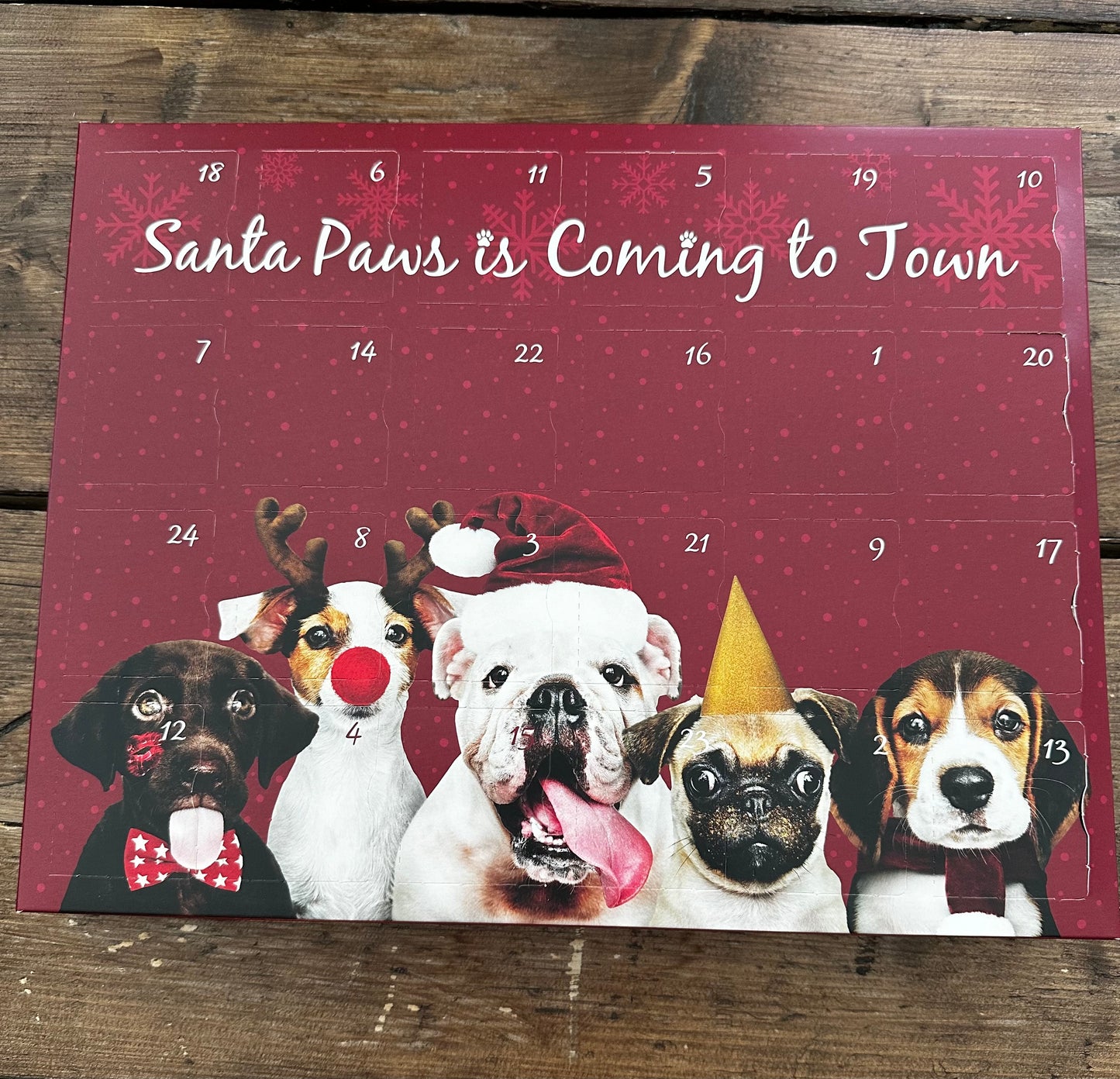 Santa Paws Advent Calendar