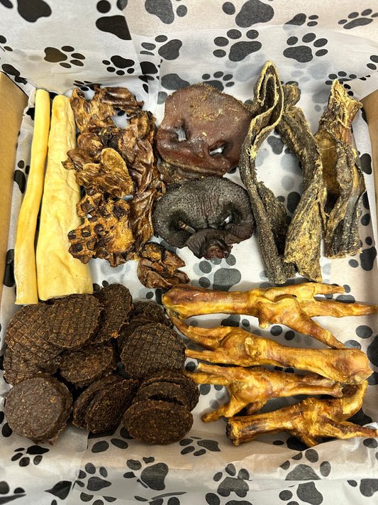 XL Selection Taster Box