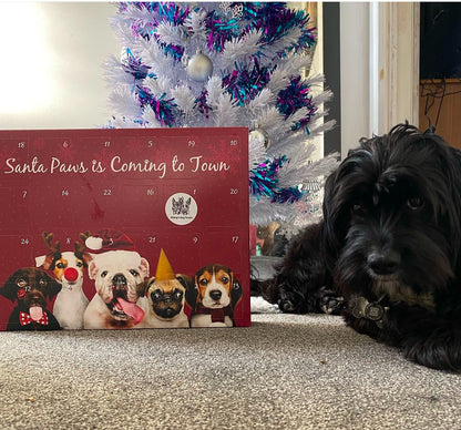 Santa Paws Advent Calendar