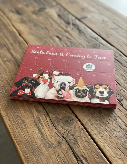 Santa Paws Advent Calendar
