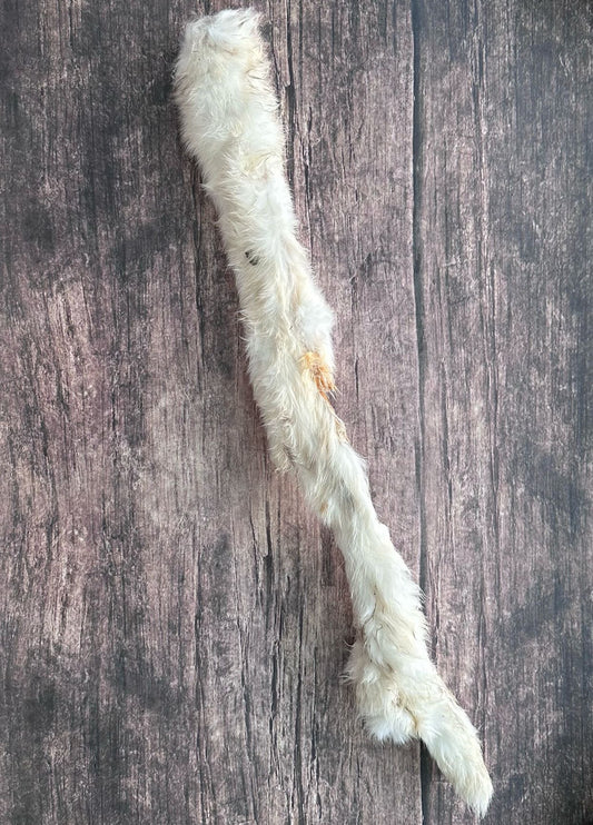Air Dried Furry Rabbit Skin for Dogs - XL